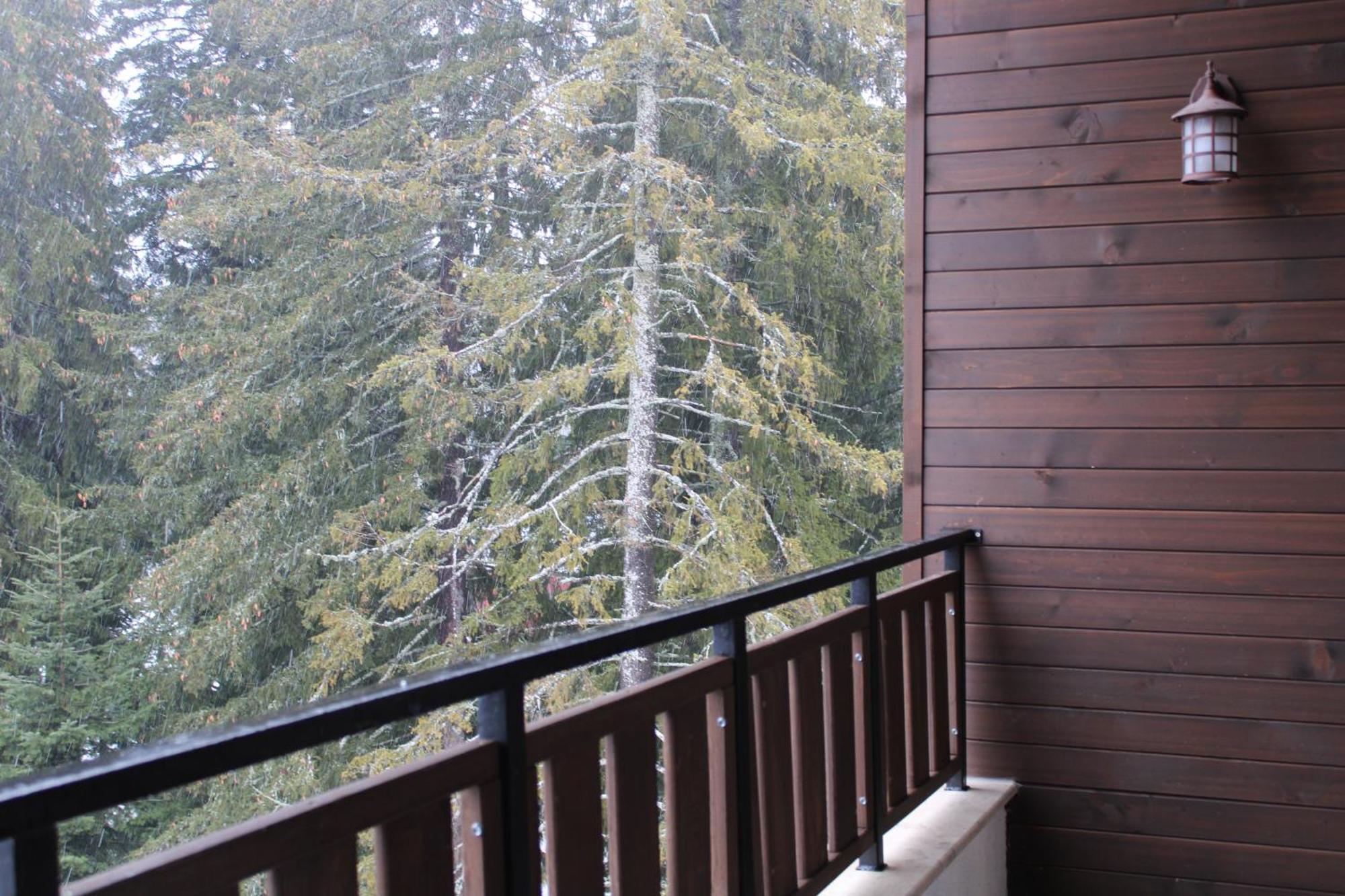 Mountain Studio Asp E63 Borovets Gardens מראה חיצוני תמונה