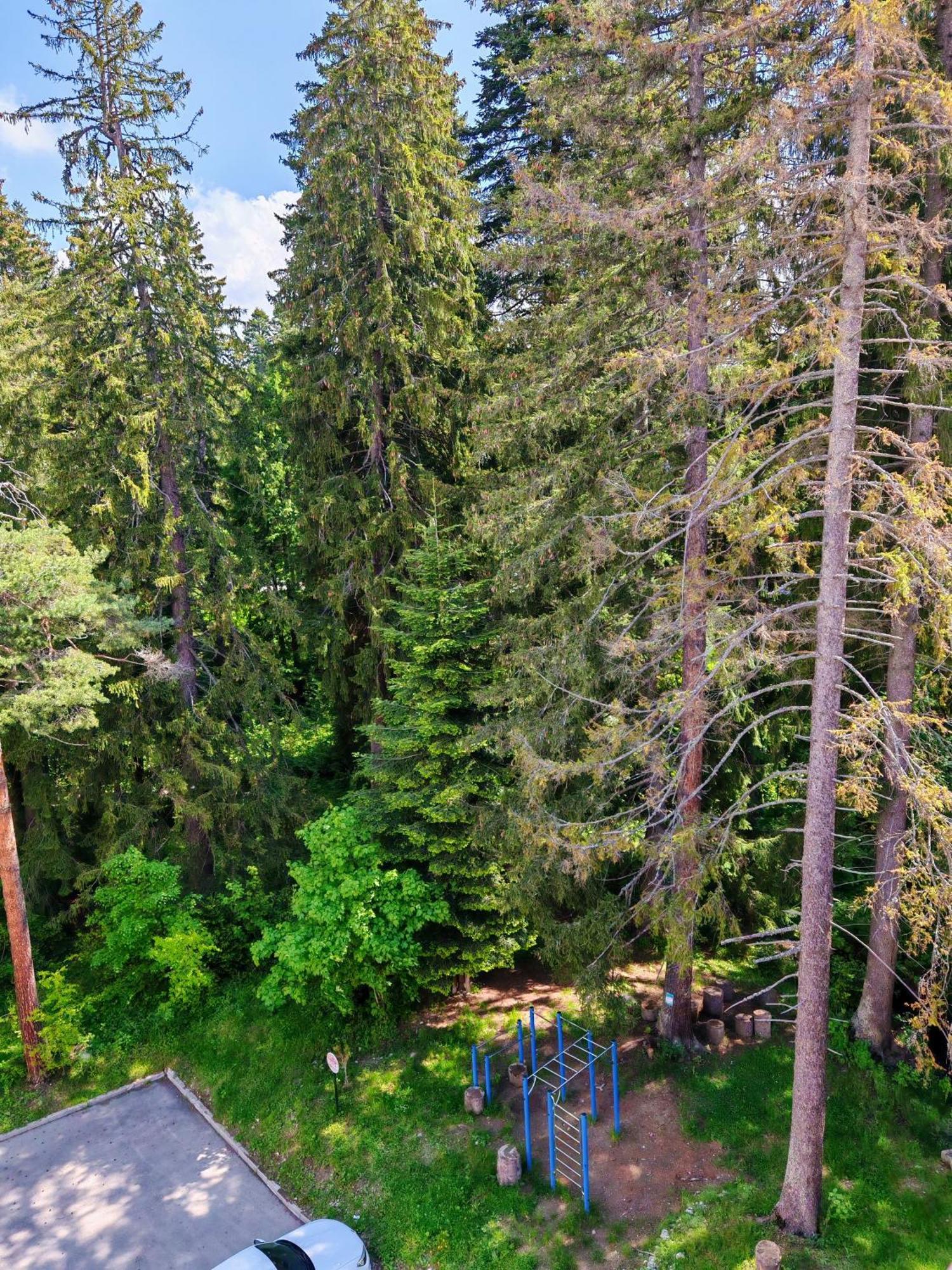 Mountain Studio Asp E63 Borovets Gardens מראה חיצוני תמונה
